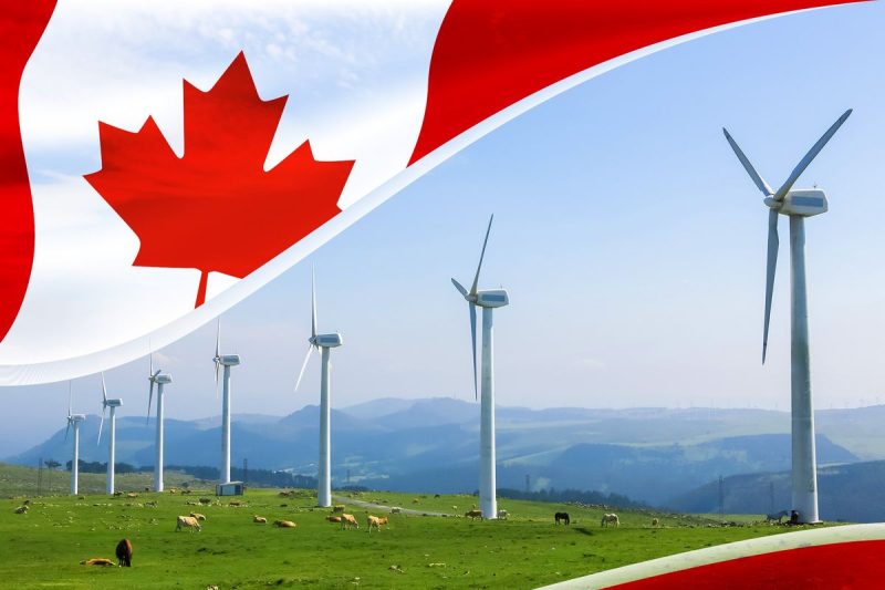 <strong>The global transition to a green economy has been a boon for the cleantech market — </strong><strong>it’s helping investment in renewable energy and clean technology continue to grow, allowing the sector to keep building momentum. </strong>
Though cleantech’s long-term outlook is stable, the industry is facing challenges in Western markets as US policy shifts have sparked climate finance concerns. With US leadership on climate finance appearing to recede, there’s an<strong> </strong>opportunity for the Canadian market to take a leading role.
In fact, Canada was the second-most represented country in the Global Cleantech 100.
Here’s a look at the best-performing Canadian cleantech stocks on the TSX and TSXV in 2025 by year-to-date gains. CSE-listed companies were considered, but none made the list at this time.
Data for this article was gathered on October 20, 2025, using TradingView’s stock screener. Only companies with market capitalizations greater than C$50 million were considered.
                            1. Anaergia (TSX:ANRG)
<strong>Year-to-date gain</strong><strong>:</strong> 165.96 percent<strong>Market cap</strong><strong>:</strong> C$417.19 million<strong>Share price</strong><strong>:</strong> C$2.50
Anaergia is a global company that specializes in converting waste, including wastewater and agricultural and municipal solid waste, into renewable energy, clean water and organic fertilizer.
The company has operations in 17 countries spanning North America, Africa, Asia and Europe. In 2025, Anaergia has expanded its global reach through partnerships with companies in Italy and Spain, as well as through a partnership agreement to build a biogas facility in South Korea.
In July 2024, Anaergia closed the third tranche of a C$40.8 million investment deal with Marny Investissement that gave Marny a controlling interest of about 60 percent in Anaergia, supporting the company’s pivot to employ a greater focus on technology sales and operations and maintenance contracts. 
The company’s September 2025 investor presentation highlighted its new strategy of streamlined operations, expanding through global partnerships and selective Build-Own-Operate delivery. 
                            2. Tantalus Systems (TSX:GRID)
<strong>Year-to-date gain</strong><strong>:</strong> 93.68 percent<strong>Market cap</strong><strong>:</strong> C$179.51 million<strong>Share price</strong><strong>:</strong> C$3.68
Tantalus Systems provides technology that gives utilities greater control and insight into their electric grids.
This includes advanced metering infrastructure (AMI), load management systems and grid analytics, all of which contribute to a more efficient and reliable power grid.
One of its key products, TRUConnect AMI, provides real-time data on energy consumption and grid conditions. The TRUFlex Load+DER Management system helps manage energy demand and integrate distributed energy resources like solar power, while TRUGrid Automation optimizes grid operations and improves response to events like power failures.
On July 7, Tantalus announced that it was extending its partnership with EPB in Chattanooga, Tennessee, to deploy 20,000 TRUSense Ethernet Gateways over the next five years, integrating with EPB’s fiber network to enhance grid modernization and operational efficiency. 
The company’s annual recurring revenue has grown at an approximate compound annual growth rate of 18 percent since 2016, according to its October presentation. 
                            3. CVW Sustainable Royalties (TSXV:CVW)
<strong>Year-to-date gain</strong><strong>:</strong> 17.65 percent<strong>Market cap</strong><strong>:</strong> C$149.74 million<strong>Share price</strong><strong>:</strong> C$1.00
CVW Sustainable Royalties, previously CVW CleanTech, is a royalty company that invests in other cleantech enterprises in exchange for a share of their revenue.
The company rebranded and changed its TSX Venture exchange listing from a technology issuer to an investment issuer in July after transitioning to a royalty model in 2024.
It is still committed to commercializing its CVW technology, which recovers bitumen and valuable minerals like titanium and zircon from oil sands tailings ponds. This reduces the environmental impact of oil and gas production, making the Canadian oil sands industry more sustainable. 
CVW is planning to deploy its technology through a model of non-operating interests or royalty streams.
Its first royalty investment was in Northstar Clean Technologies (TSXV:ROOF,OTCQB:ROOOF), a company with technology that processes end-of-life asphalt shingles into components, including liquid asphalt, as well as aggregate and fiber for industrial use. The deal was finalized in September 2024.
In July, Northstar completed commissioning and produced its first liquid asphalt at its plant in Alberta, Canada. 
<strong>Securities Disclosure: I, Meagen Seatter, hold no direct investment interest in any company mentioned in this article.</strong>
This post appeared first on investingnews.com
